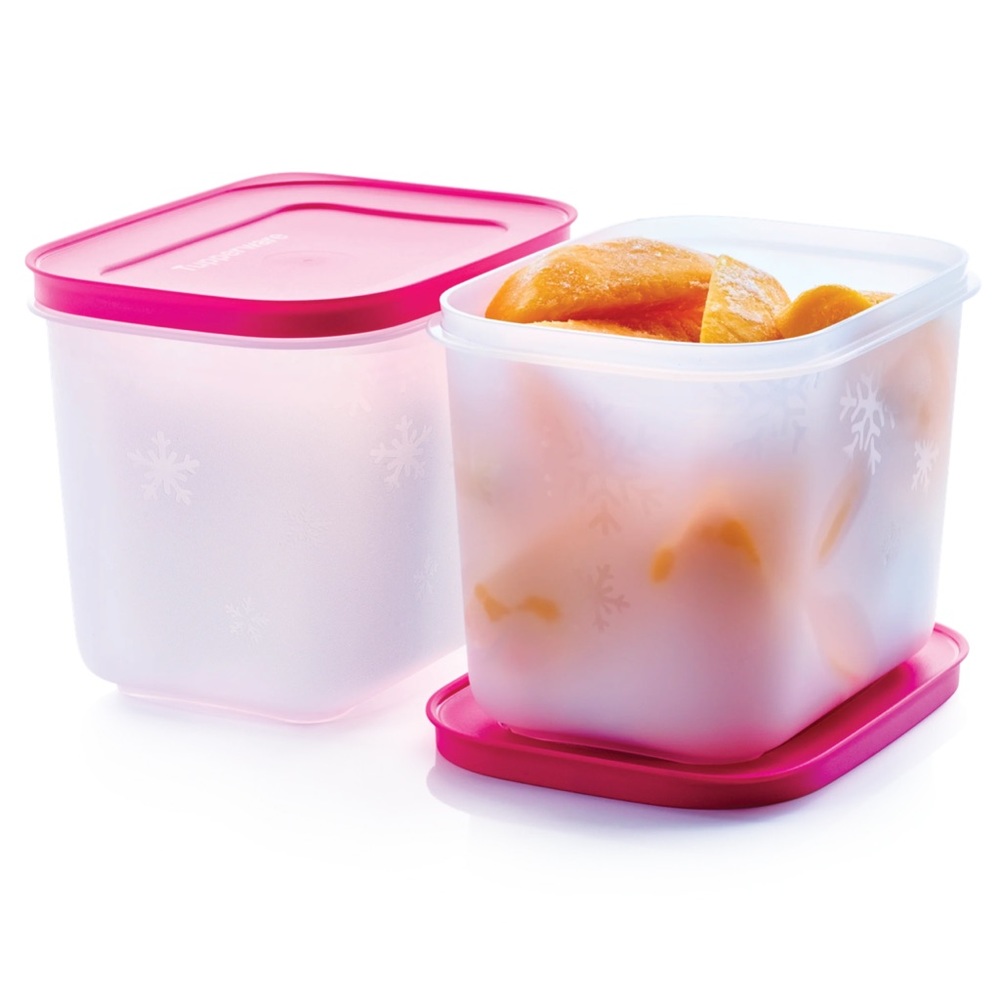 NIP Set of 2 Tupperware Freezer Mates PLUS Small Deeps